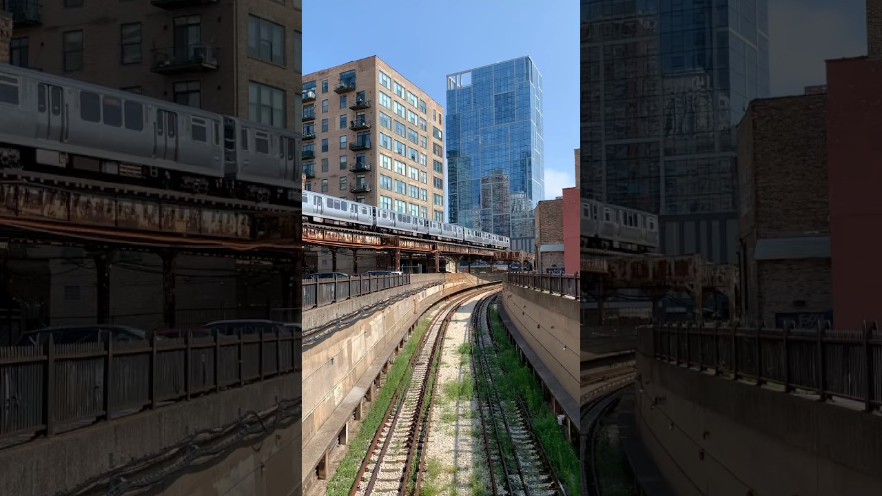 The CTA in Chicago passes near old overgrown tracks in the South Loop 