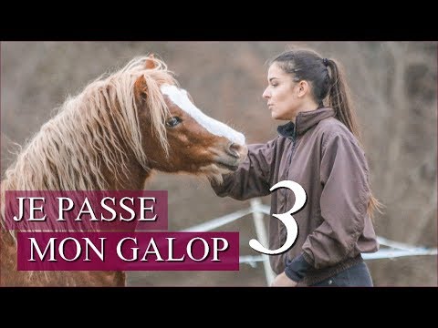 JE PASSE MON GALOP 3 ! (Equi Galwaye) 