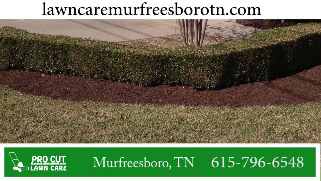 Pro Cut Lawn Care | Local Promotional Video