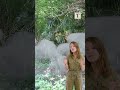 Comment le palmier envahit les forêts du Tessin