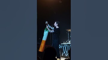 Thumbnail of Picture This - Drink It Down To There (Wien, 8.10. 2024)