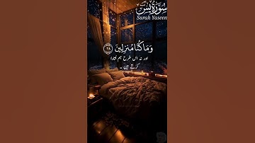 سورة يس | بواسطة قاري أحمد احتشام (رسمي) | الأية: 28-29 | #الله #سورة #قران #احمد #تلاوة #مريحة