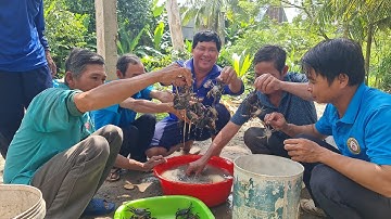 Về Châu Đốc Ghé Thăm Nhà Anh Trúc Với Món Cua Đồng Nấu Cháo Giò Heo.Góc Làng Quê#715