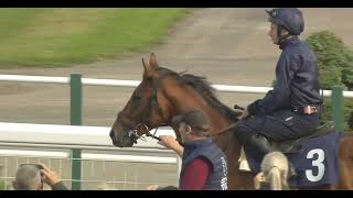 2024921Rl Moorecity Of Toroyage3T.ap Obrien