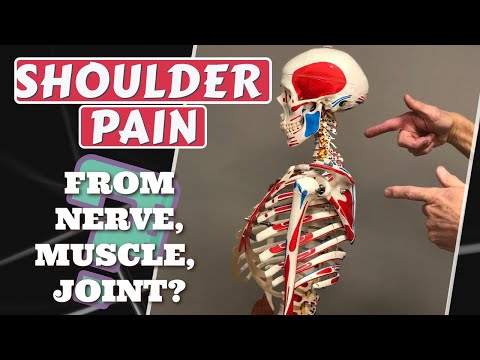 درد شانه شما از عصب، ماهیچه یا مفصل است؟ چگونه بگوییم (به روز شده)