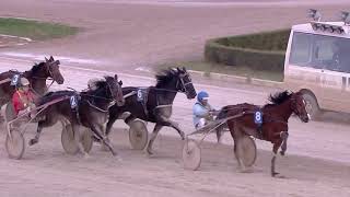 Vidéo de la course PMU PREMI NANTES