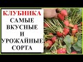 Самые лучшие сорта клубники