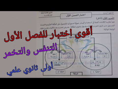 اختبار الفصل الأول في العلوم الطبيعية للسنة الأولى ثانوي علمي حول التنفس والتخمر