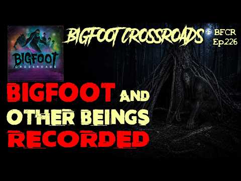 Bigfoot and Other Beings Recorded | Bigfoot Crossroads Ep.226