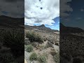 Have you been to Red Rock Canyon Conservation Area recently? It's full of vegetation 💚