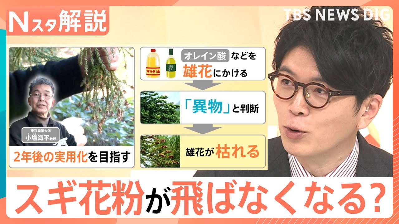 「雄花だけを枯らす」最新研究 スギ花粉が飛ばなくなる未来も…？くしゃみ・鼻水／鼻づまり…症状によって薬を使い分けを【Nスタ解説】｜TBS NEWS DIG