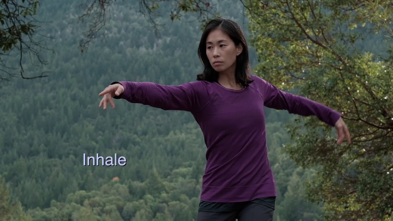 Yang Taijiquan at Medium Speed