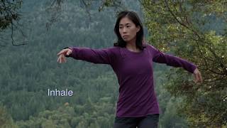 Yang Taijiquan at Medium Speed