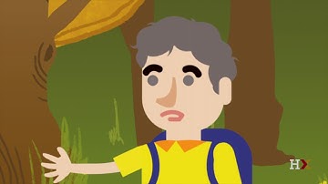 Story Proofs Explained: Binomial Coefficients and Vandermonde