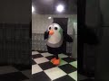 10 января - День обучения пингвиньим танцам