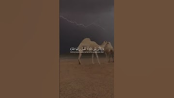 القرآن الكريم #quran #اكسبلور #المصحف #لايك