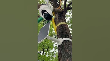 Reolink Camera with Unlimited SIM Card