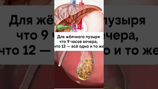 Желчный не знает времени! #здоровье #здоровыйобразжизни