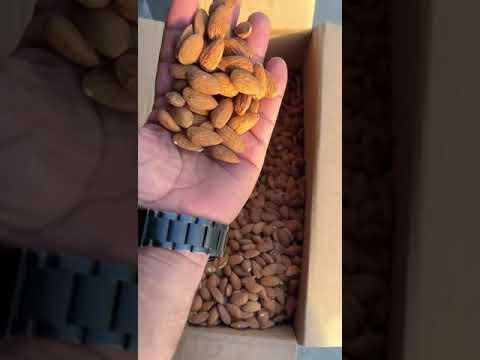  23 25   0555 095 22 62 و امريكي في تركيا    1 