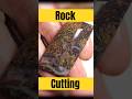 Olympic Mountain Jasper: Rockhounding Find to Cabochon - Lapidary Saw