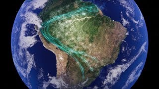 Rios Voadores da Amazônia - sem floresta não tem água