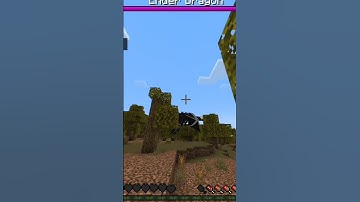 Minecraft, But If You SUBSCRIBE A Random Mob Spawns.... #shorts