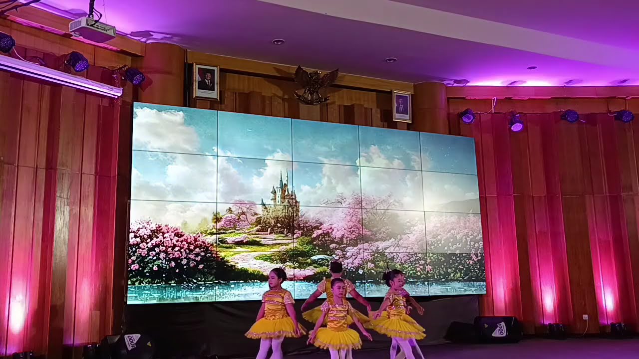 Ballet perfomance part 3