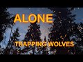 Alone trapline adventures and trapping wolves trapping trappingwolves