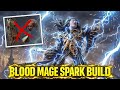 THE BUDGET BLOOD MAGE! ⚡ No Temporalis Needed Path of Exile 2 0.4