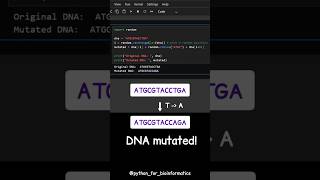 🎲 Mutating DNA: One Random Base at a Time 🧬✨