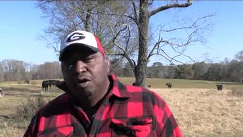 Black Farmer's Lawsuit