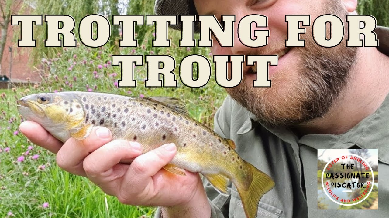 Trotting for Trout - Angling for Brown Trout in the River Itchen