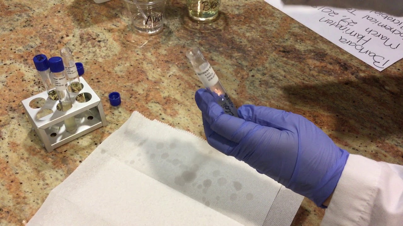 Biochemical Testing for Microbial Identification- Part 1