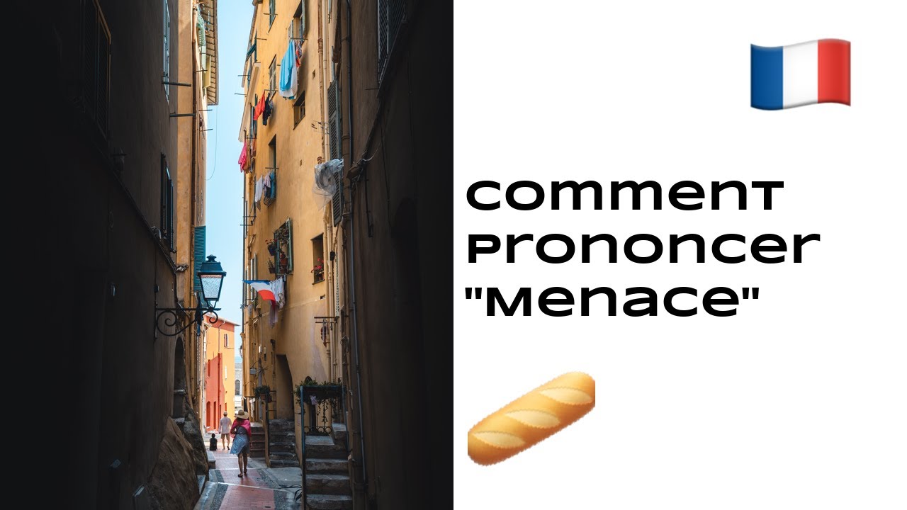 What is menace in French? menace