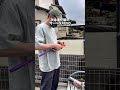 プロスタッフのサーベラスとサーベラスレボでタイヤが簡単に綺麗になりました🙂※鏡面仕上げの場合は使わないでくださいね😚#洗車 #車 #簡単掃除