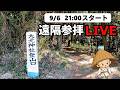 宇佐神宮 奥宮の大元神社まで御許山を登って登拝します｜遠隔参拝・浄化・心願成就・エネルギーワーク