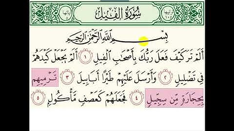 سورة التكاثر الي سورة الناس
