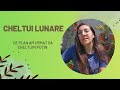 Cheltuielile lunare | Cât cheltuim si care a fost planul pentru a cheltuii puțin 
