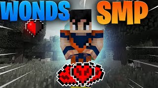 I JOIN THE WONDS SMP