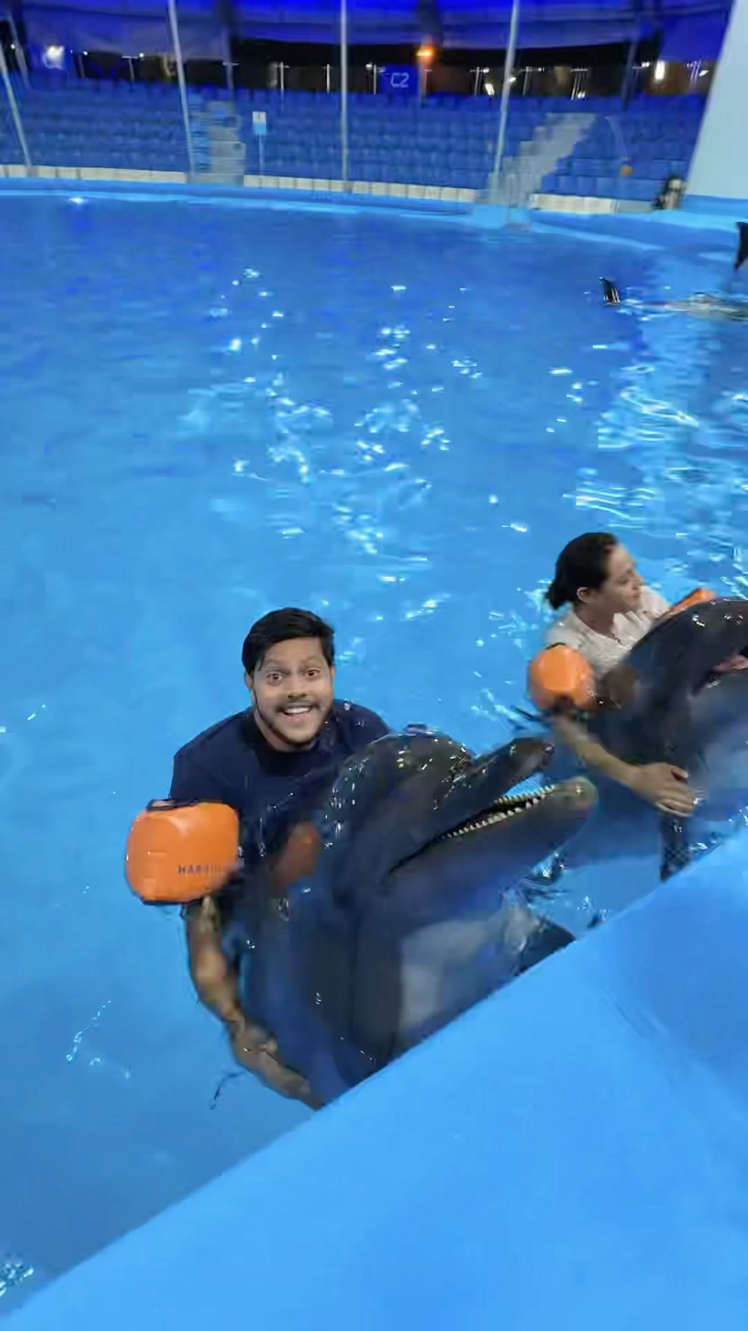 ডলফিনের সাথে রাকিব রিতু সাঁতার কাটছে ? | Swim With Dolphins ? #shorta