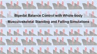 Bipedal Balance Control with Whole-body Musculoskeletal Standing and Falling Simulations