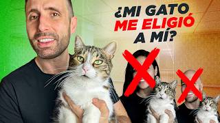 ¿Eres la PERSONA ELEGIDA POR TU GATO? 😺💭 Lo que mucha gente ignora