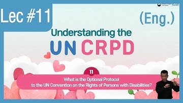 11. What is the Optional Protocol to the UN Convention on the Rights of Persons with Disabilities?