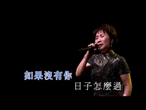 潘秀瓊｜如果沒有你｜呂珊閃耀07演唱會