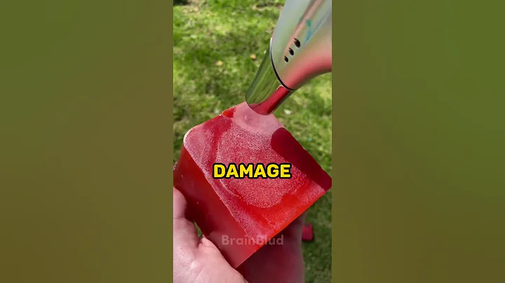 Random Facts You Didn't Know 14