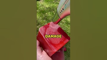 Random Facts You Didn