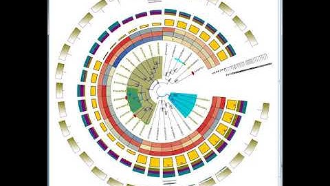 TBtools (a Toolkit for Biologists integrating various biological data handling tools)