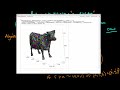 Using the Random Walk Metropolis algorithm to sample from a cow surface distribution