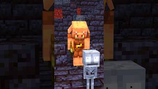 Help Wither Skeleton Save Baby Skeleton From Piglin And Lava Wither X Skelly (See You Again) #Sad