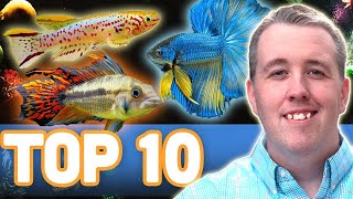 smid væk koste Atticus MY TOP 10 FISH FOR A 10 GALLON AQUARIUM - YouTube